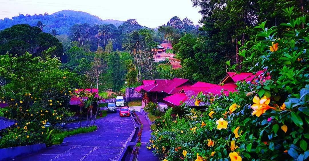 Highland Resort & Nature Tours Tomohon Esterno foto